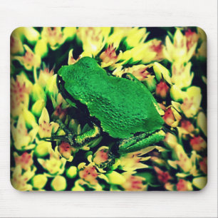 Tapis De Souris Grenouille verte brillante