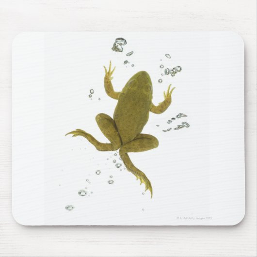Tapis De Souris grenouille verte commune (Devant)