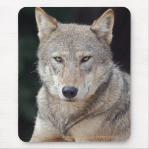 Tapis De Souris Grey Wolf Mousemat