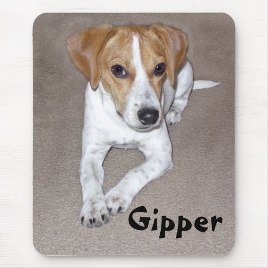 Tapis De Souris Griffonnage de Gipper (Devant)