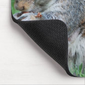 Tapis de souris gris d'écureuil (Coin)