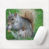 Tapis de souris gris d'écureuil (Avec souris)