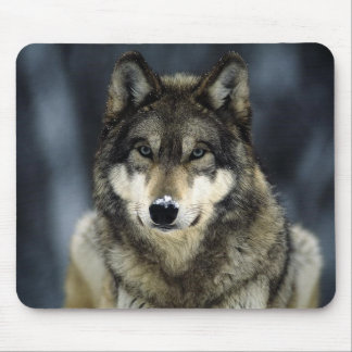 Tapis De Souris gris-loup-neige