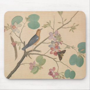 Tapis De Souris Grive et mite moulues sur une branche d'orchidée