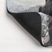 Tapis De Souris Grizzly Bear (Coin)