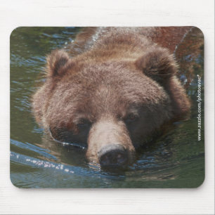 Tapis De Souris Grizzly Bear