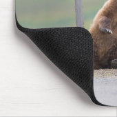 Tapis De Souris Grizzly Bear Plays With Sign (Coin)