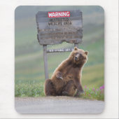Tapis De Souris Grizzly Bear Plays With Sign (Devant)