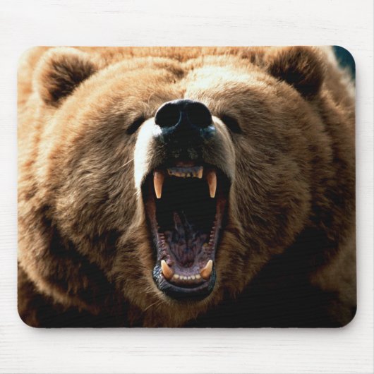 Tapis de souris Grizzly Beer Feeling (Devant)