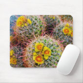 Tapis De Souris Gros cactus baril, Californie (Avec souris)