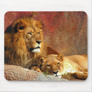 Tapis De Souris Gros Chats - 6