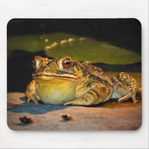 Tapis De Souris Gros crapaud gras