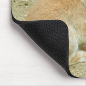 Tapis De Souris Gros Lapin Rouge (Coin)