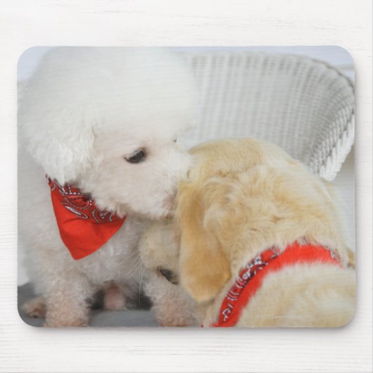 Tapis De Souris Gros plan de deux chiens (Devant)