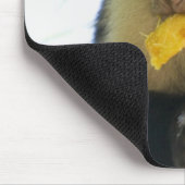 Tapis De Souris Gros plan d'un singe capucin mangeant un fruit (Coin)