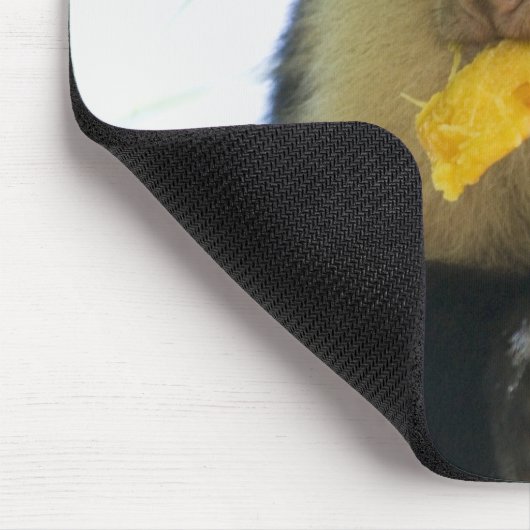 Tapis De Souris Gros plan d'un singe capucin mangeant un fruit (Coin)