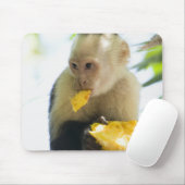 Tapis De Souris Gros plan d'un singe capucin mangeant un fruit (Avec souris)