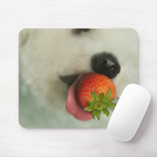 Tapis De Souris Gros plan d'une Bichon Frise mangeant une fraise (Avec souris)