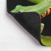Tapis De Souris Gros plan d'une grenouille de singe de Tiger Leg (Coin)