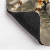 Tapis De Souris Gros plan Extraordinaire d'une araignée de Tarantu (Coin)