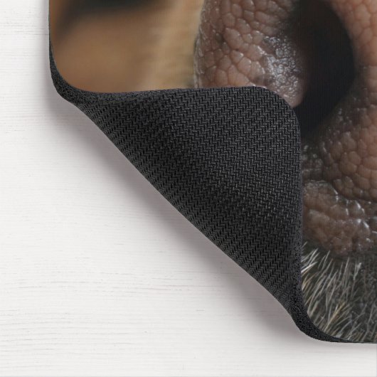 Tapis De Souris Gros plan extrême sur le nez d'un chien. (Coin)