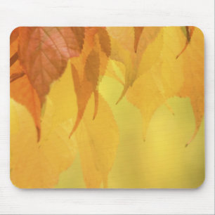Tapis De Souris Gros plan sur des feuilles d'automne sur une branc