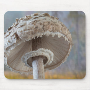 Tapis De Souris Gros plan sur le dessous d'un champignon