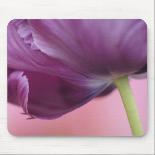 Tapis De Souris Gros plan sur le dessous d'une fleur de tulipe, Ku