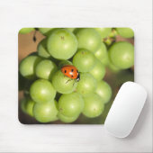 Tapis De Souris Gros plan sur les raisins verts Pinot Noir (Avec souris)