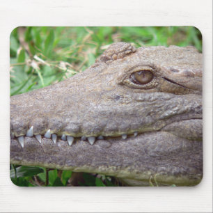 Tapis De Souris Gros Plan sur l'Œil de Crocodile et les Dents Aigu