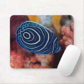 Tapis De Souris Gros plan sur un poisson-ange empereur (Avec souris)
