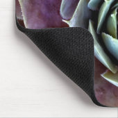Tapis De Souris Gros plan sur une succulente violette (Coin)