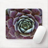 Tapis De Souris Gros plan sur une succulente violette (Avec souris)