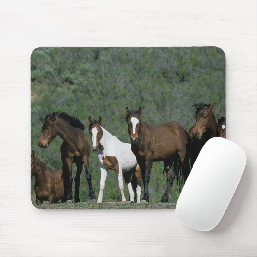 Tapis De Souris Groupe de chevaux sauvages de mustang (Avec souris)
