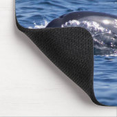 Tapis De Souris Groupe de dauphins de goulot - Oman (Coin)