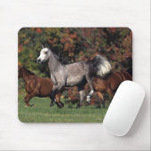Tapis De Souris Groupe de fonctionnement arabe de chevaux (Avec souris)