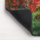 Tapis De Souris Groupe de Gulmohar (Coin)