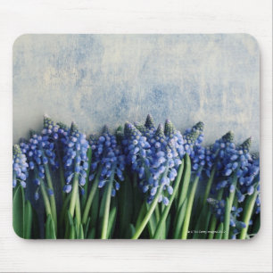 Tapis De Souris Groupe de jacinthe