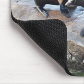 Tapis De Souris Groupe de phoques à fourrure (Coin)