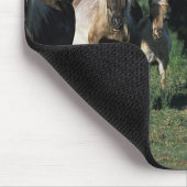 Tapis De Souris Groupe de poulains miniatures (Coin)