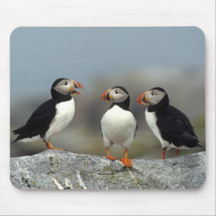 Tapis De Souris Groupe Macareux Atlantique