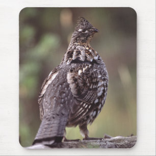Tapis De Souris Grouse