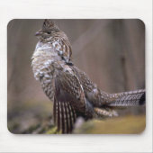 Tapis De Souris Grouse de Ruffed (Devant)