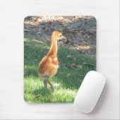 Tapis De Souris Grue de Sandhill de bébé (Avec souris)
