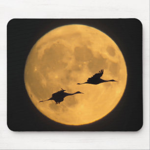 Tapis De Souris Grues à sandre Réserve nationale de faune