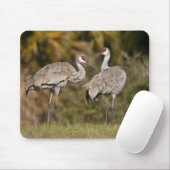 Tapis De Souris Grues de Sandhill (Avec souris)
