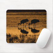 Tapis De Souris Grues Silhouettées par le coucher du soleil (Avec souris)