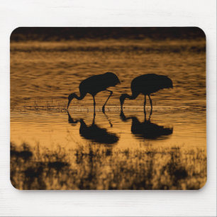 Tapis De Souris Grues Silhouettées par le coucher du soleil