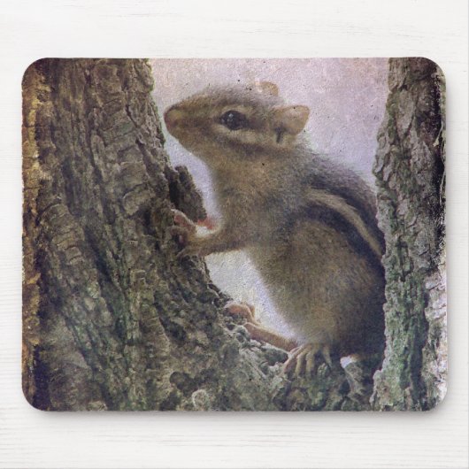Tapis De Souris Grunge d'écureuil terrestre (Devant)