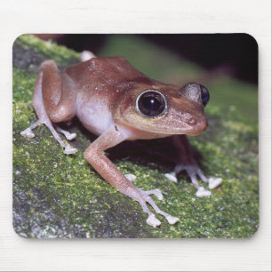 Tapis De Souris Guajon